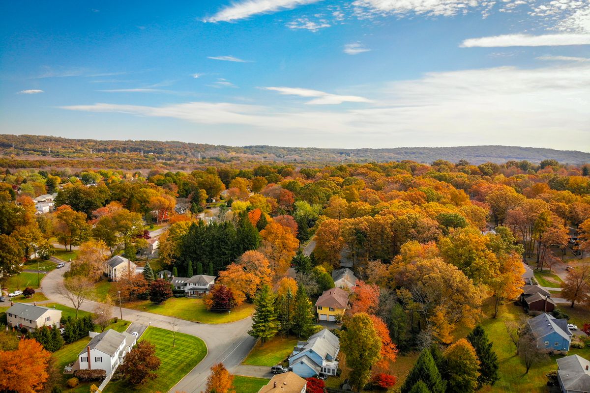 Real estate agent in Rochester Hills, MI